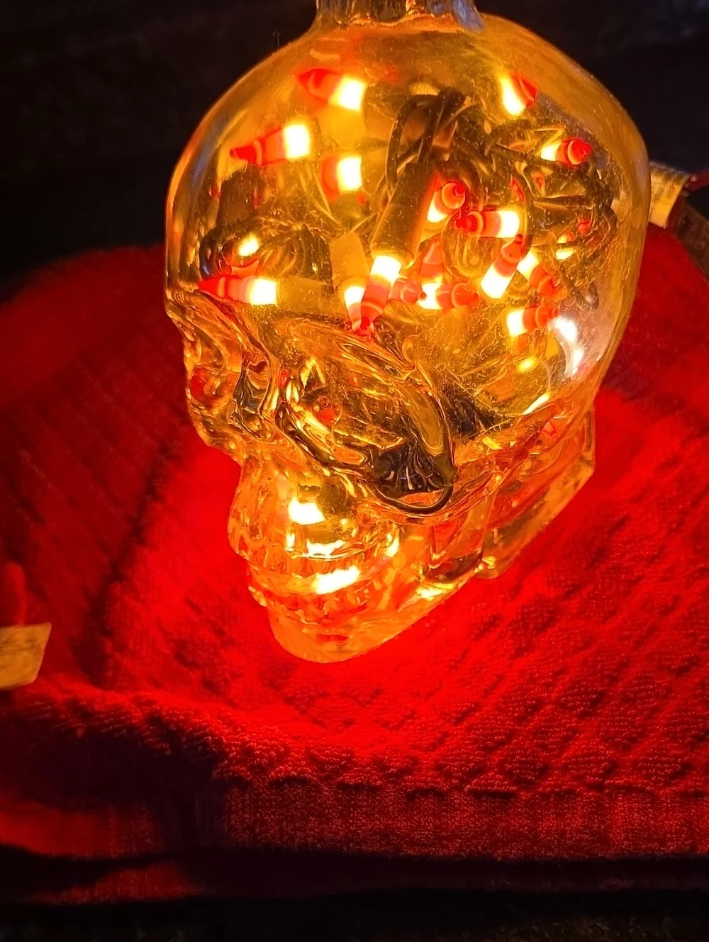 Light Up Glass Skull